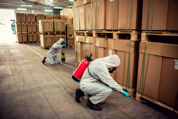 Wildlife Control Services in Warrington, FL
