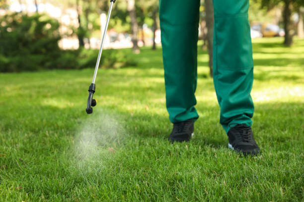 Best Residential Pest Control  in Warrington, FL
