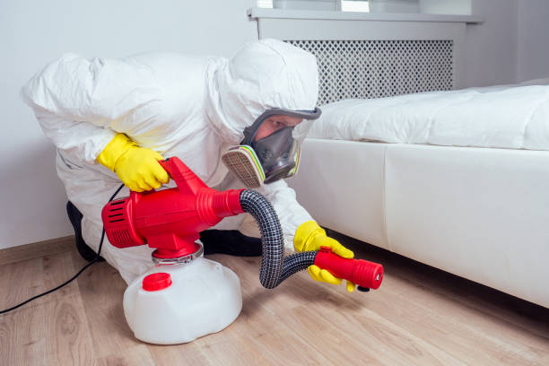 Best Bed Bug Extermination  in Warrington, FL