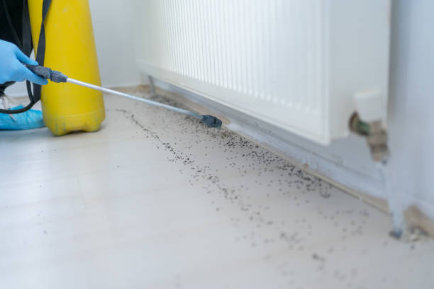 Best Wildlife Control Services  in Warrington, FL